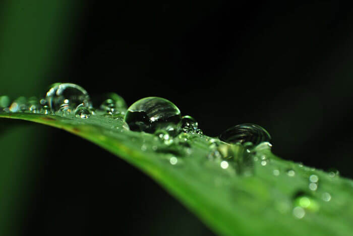 Health Benefits Of Green Cleaning!