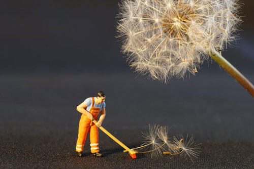 Why Hire A Cleaning Service Why Not Just Do It Myself?