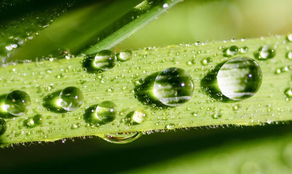 The Importance Of Eco Friendly Products