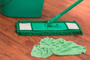 mop 300x200 - Cleaning Pet Hair from Your Home