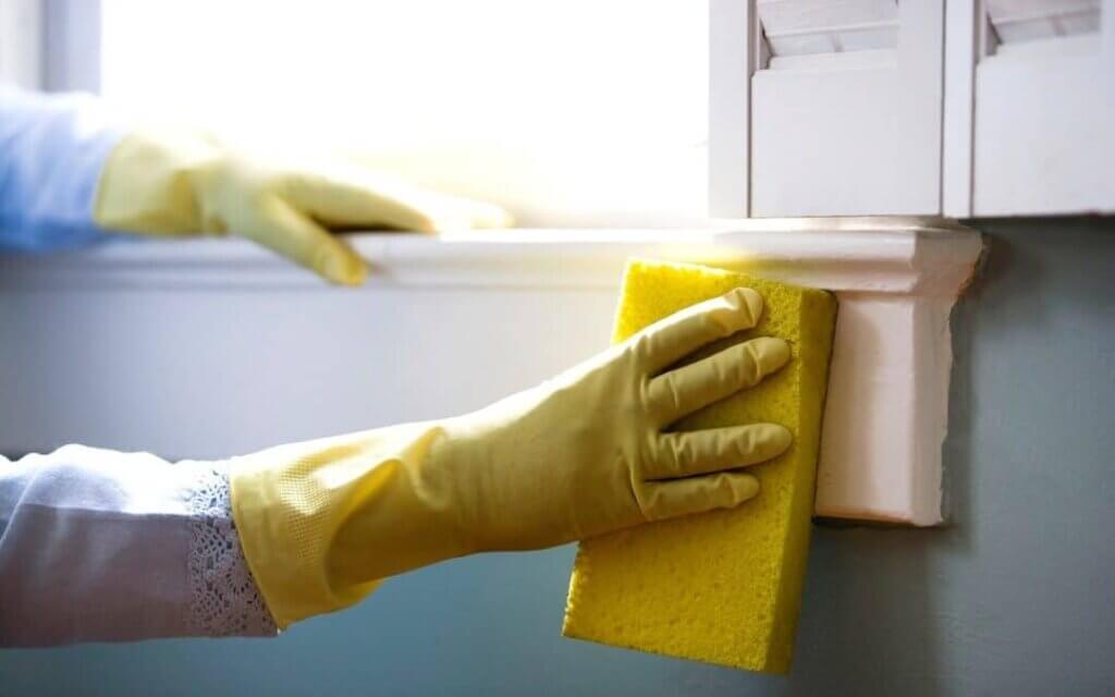 How to Eliminate Mold From Your Home - MagiCleanMaid Quality Cleaning Services