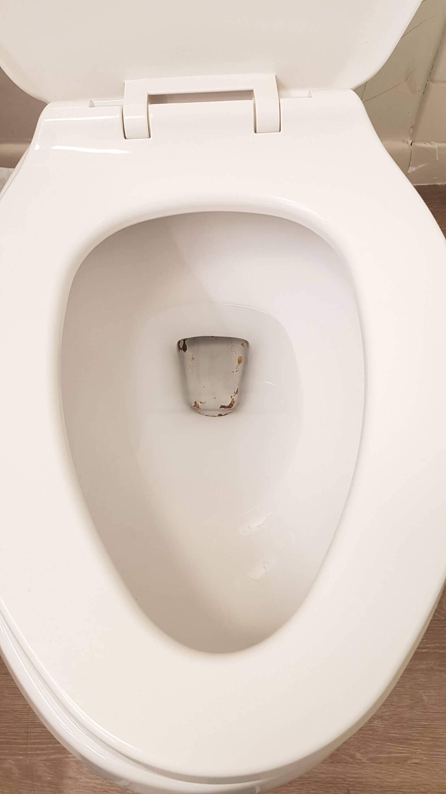 Toilet Cleaning After - MagiCleanMaid
